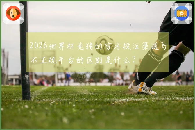 2026世界杯竞猜的官方投注渠道与不正规平台的区别是什么？