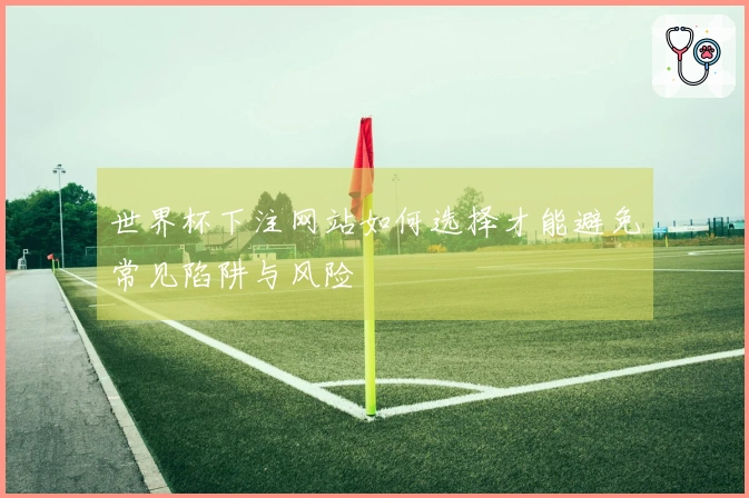 世界杯下注网站如何选择才能避免常见陷阱与风险