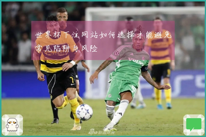 世界杯下注网站如何选择才能避免常见陷阱与风险