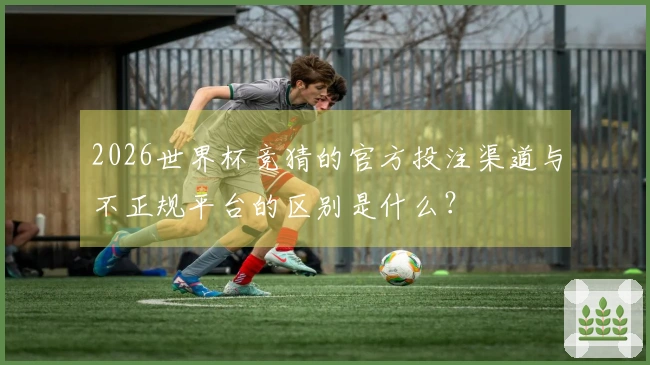 2026世界杯竞猜的官方投注渠道与不正规平台的区别是什么？