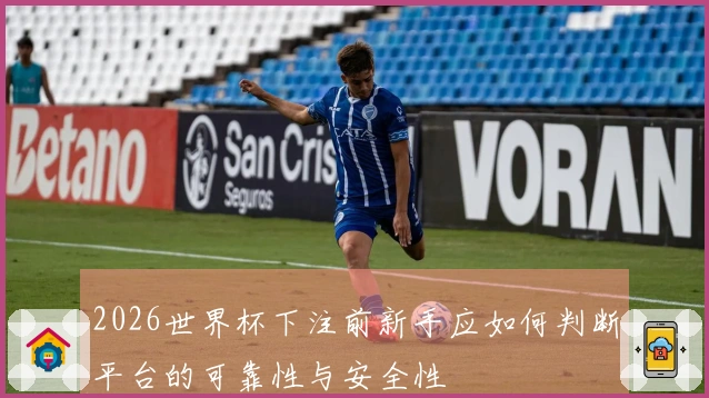 2026世界杯下注前新手应如何判断平台的可靠性与安全性