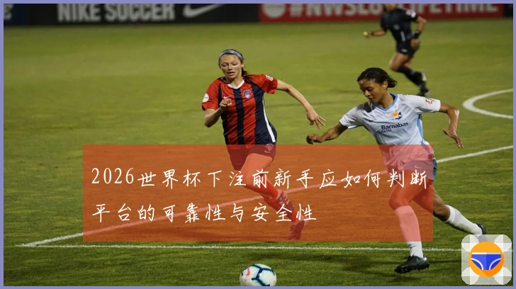 2026世界杯下注前新手应如何判断平台的可靠性与安全性